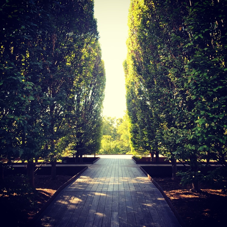 Dia: Beacon