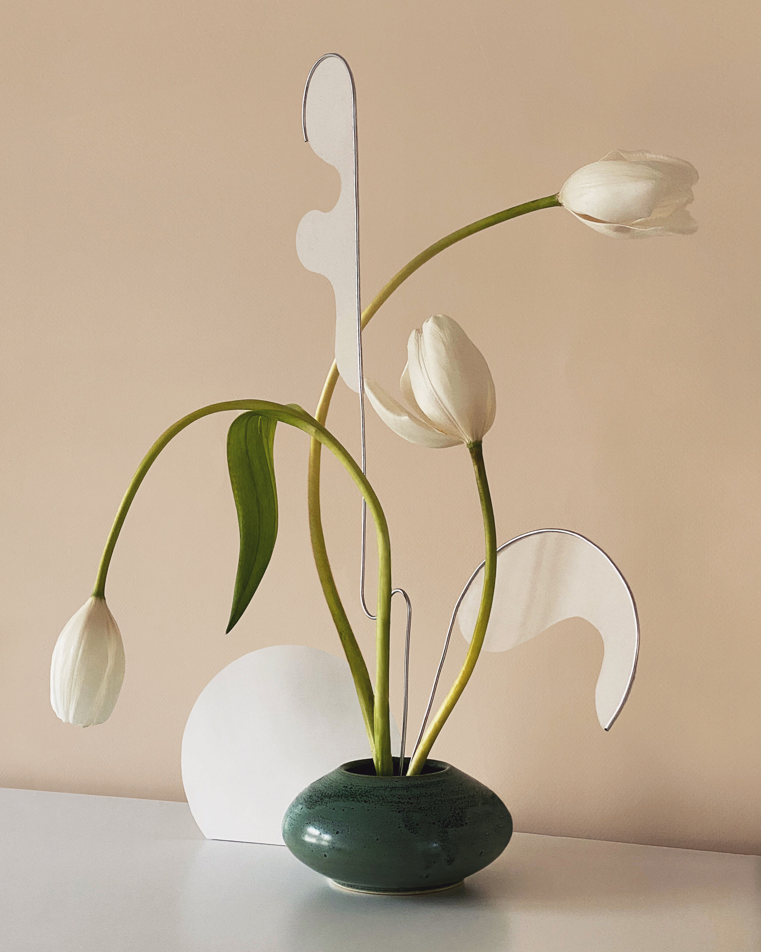 1885F73C-6B9E-4B95-8345-92381680AD56 2.JPG