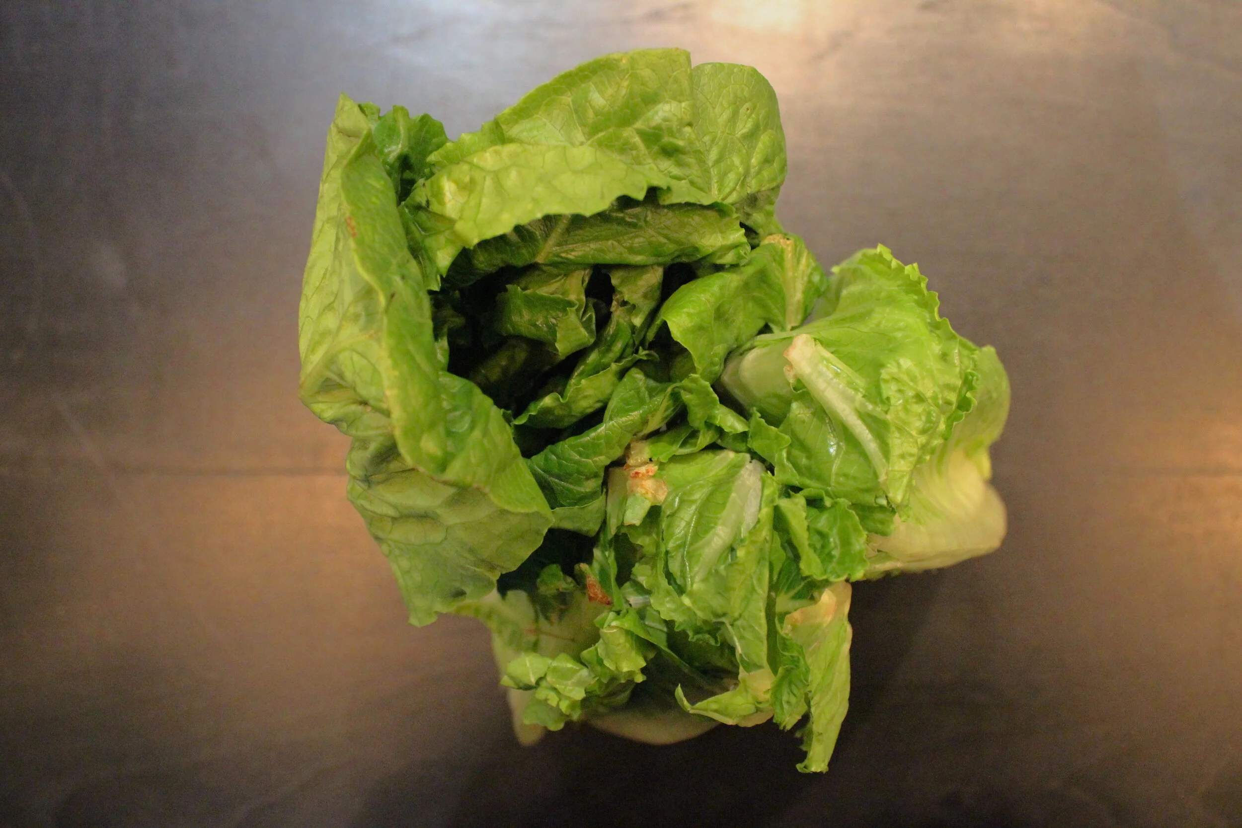 organic+romaine+lettuce+owen+and+alchemy.jpeg