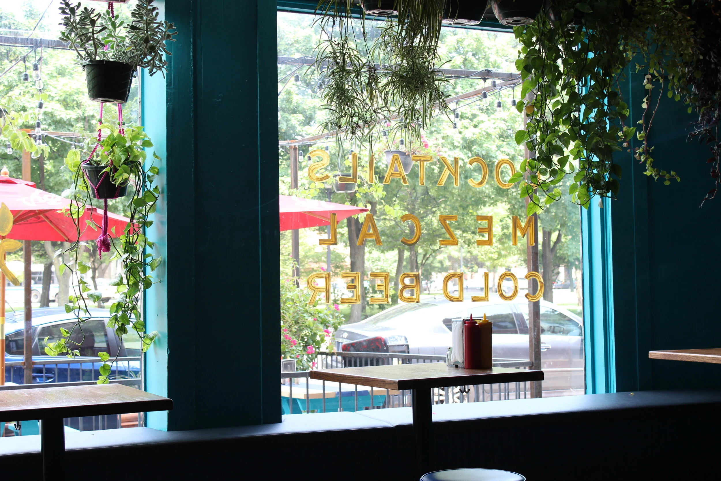 indoor+looking+outdoor.jpeg