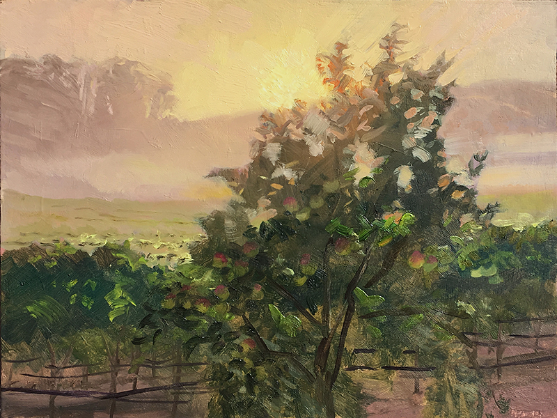 Painting Big in the Field — Scott Lloyd Anderson