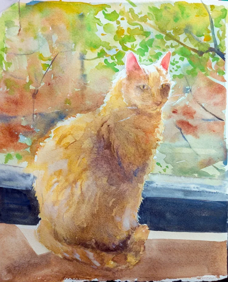 sunbathing-low-res.webp