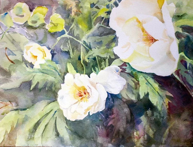 peonies+linwood+gardens.webp