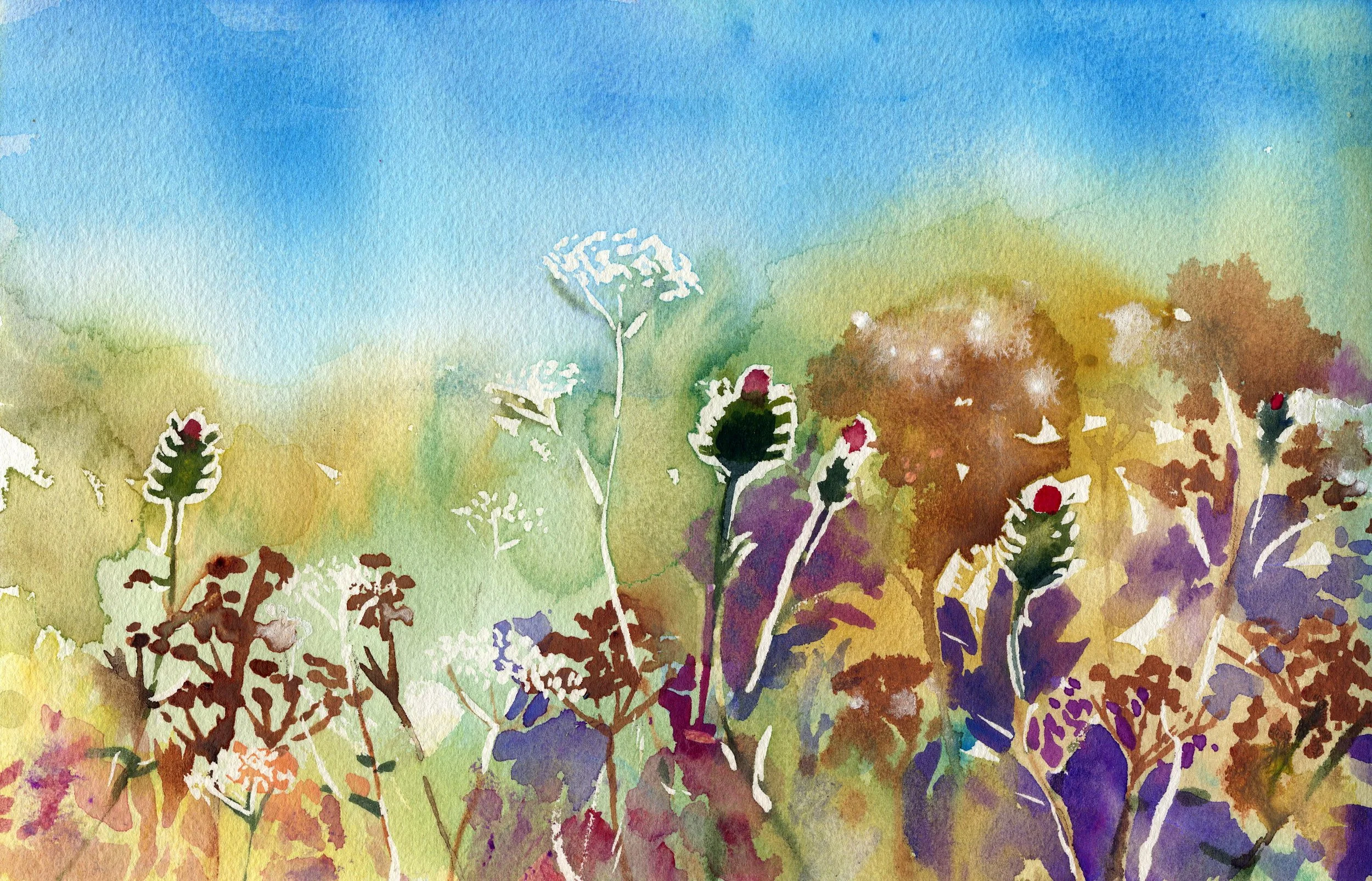 thistle study.jpg