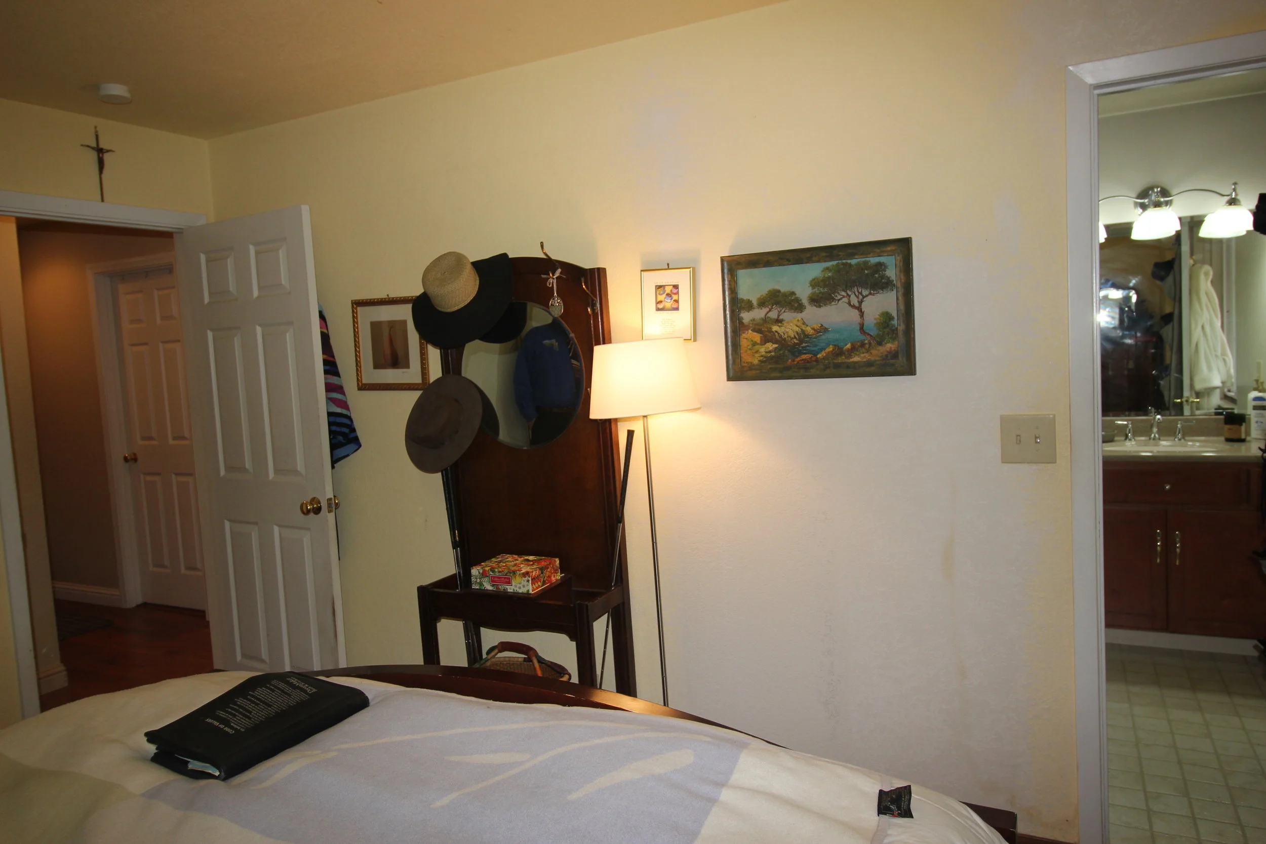 project guru bathroom remodel bedroom before 1.JPG