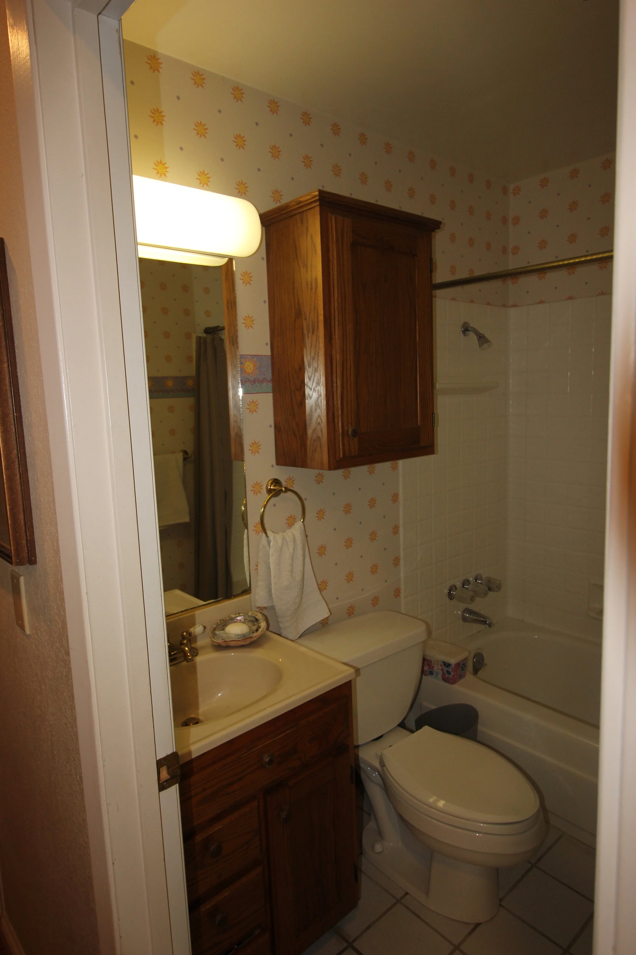 project guru bathroom remodel guest bath before 2.JPG