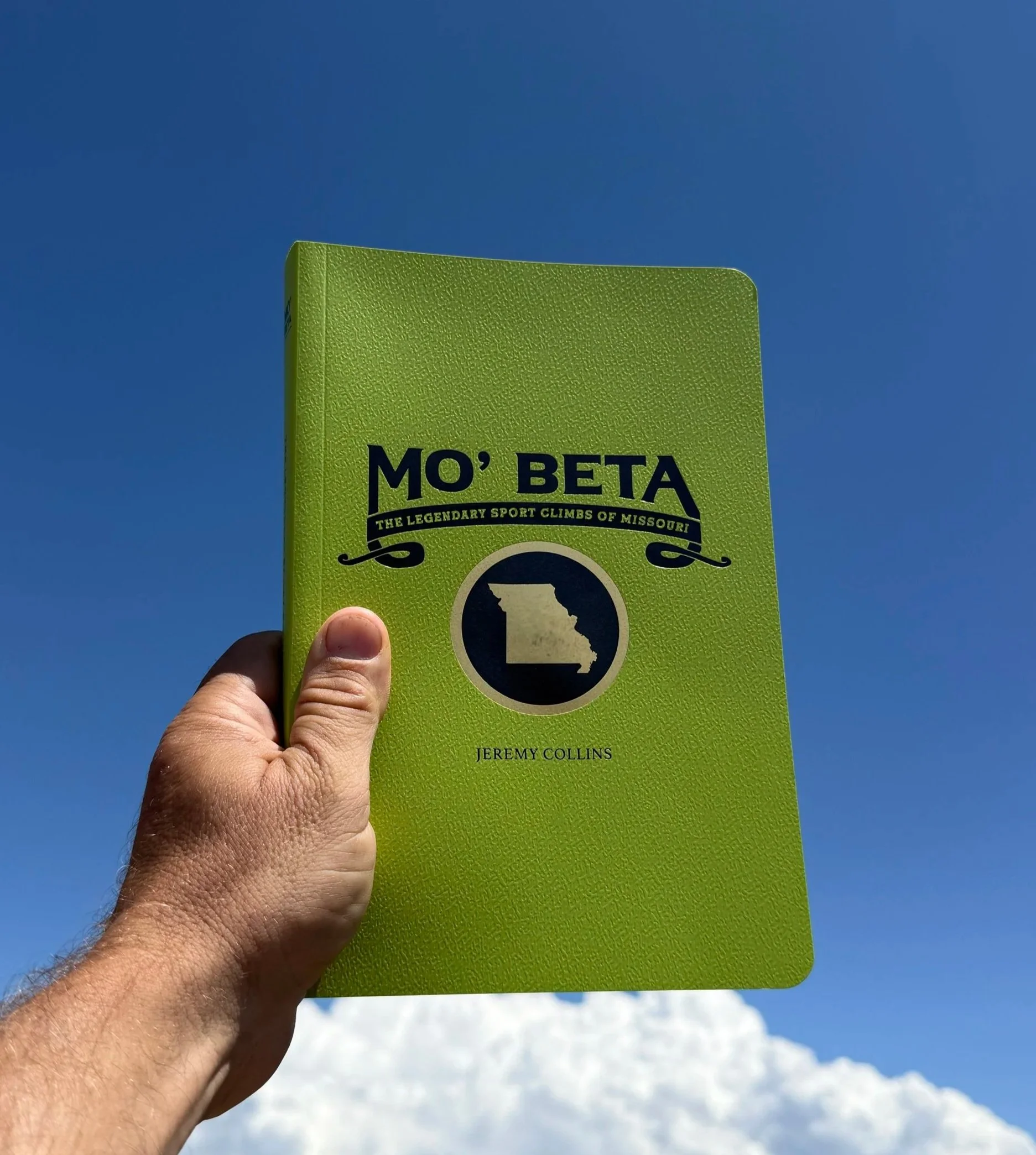 cover+reveal.jpg
