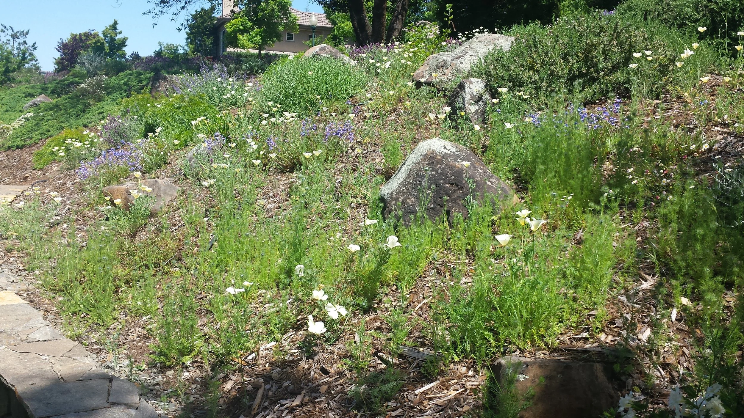 20170509_115430.jpg