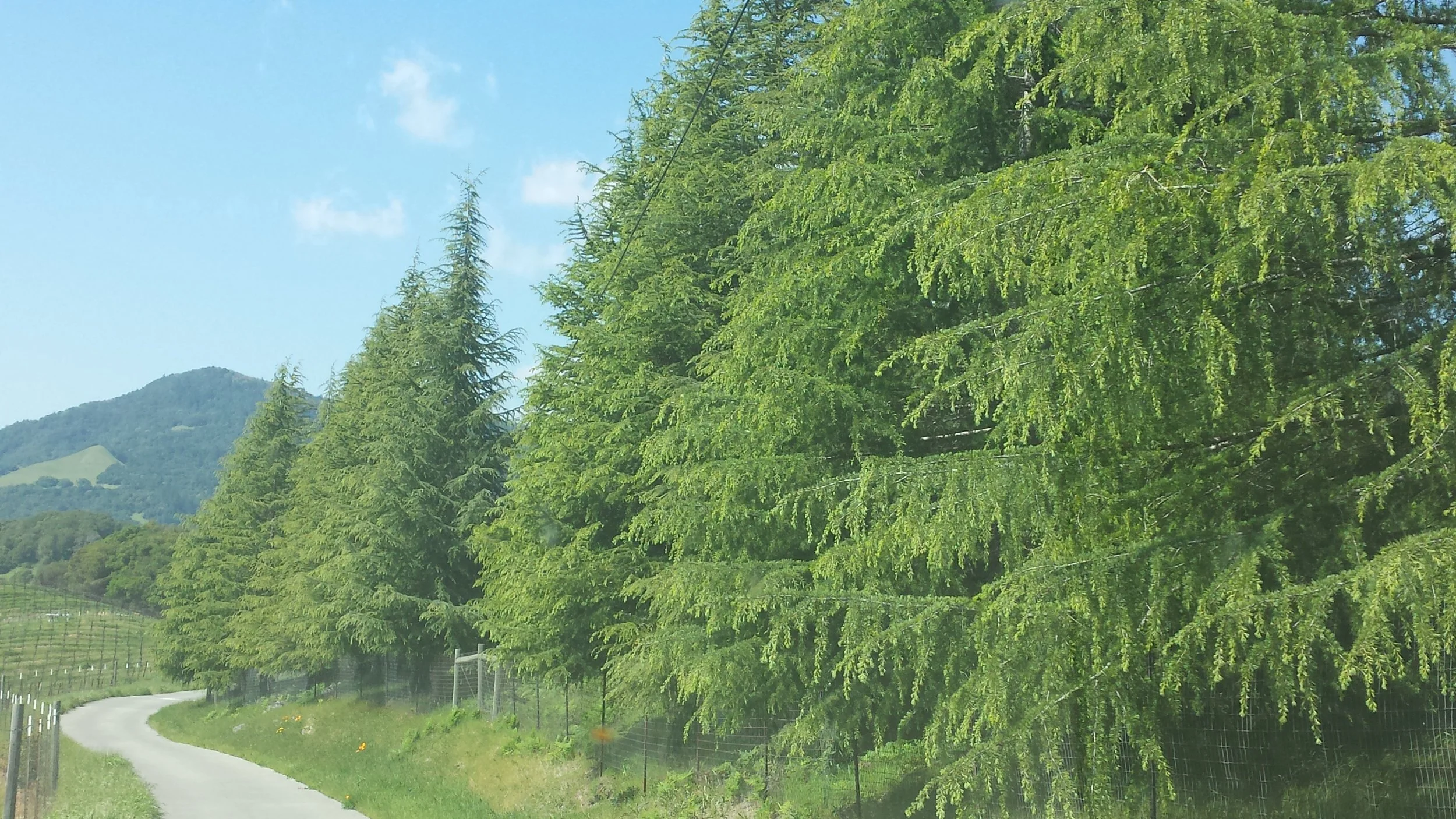 20170330_150128.jpg