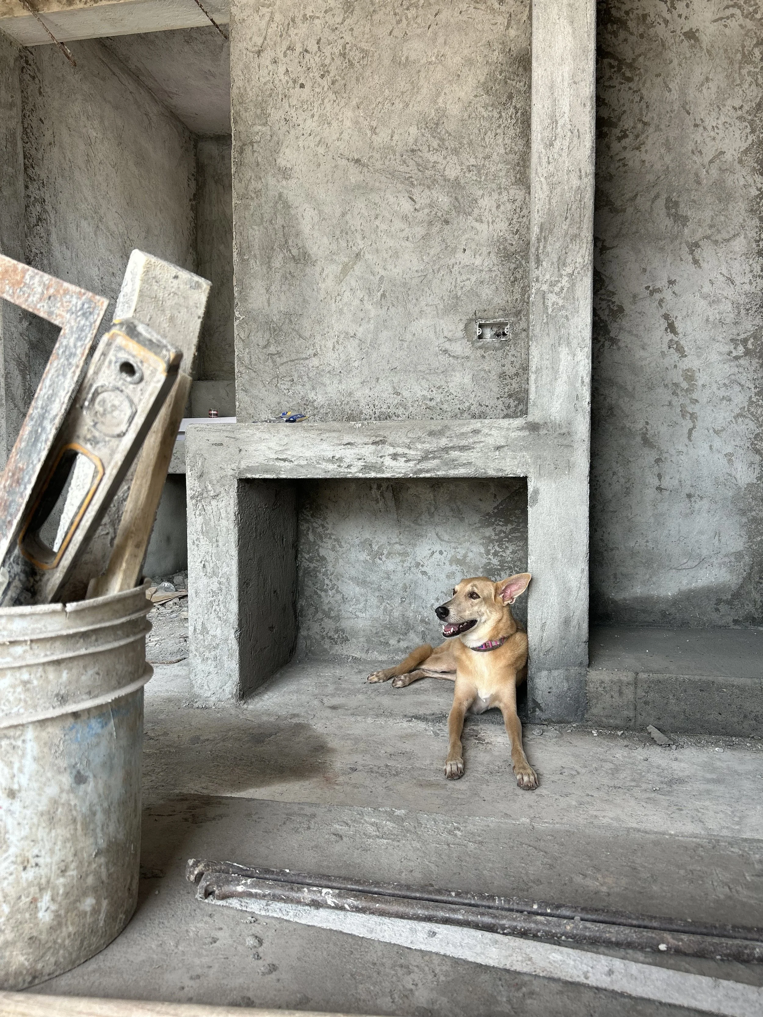Construction Supervision