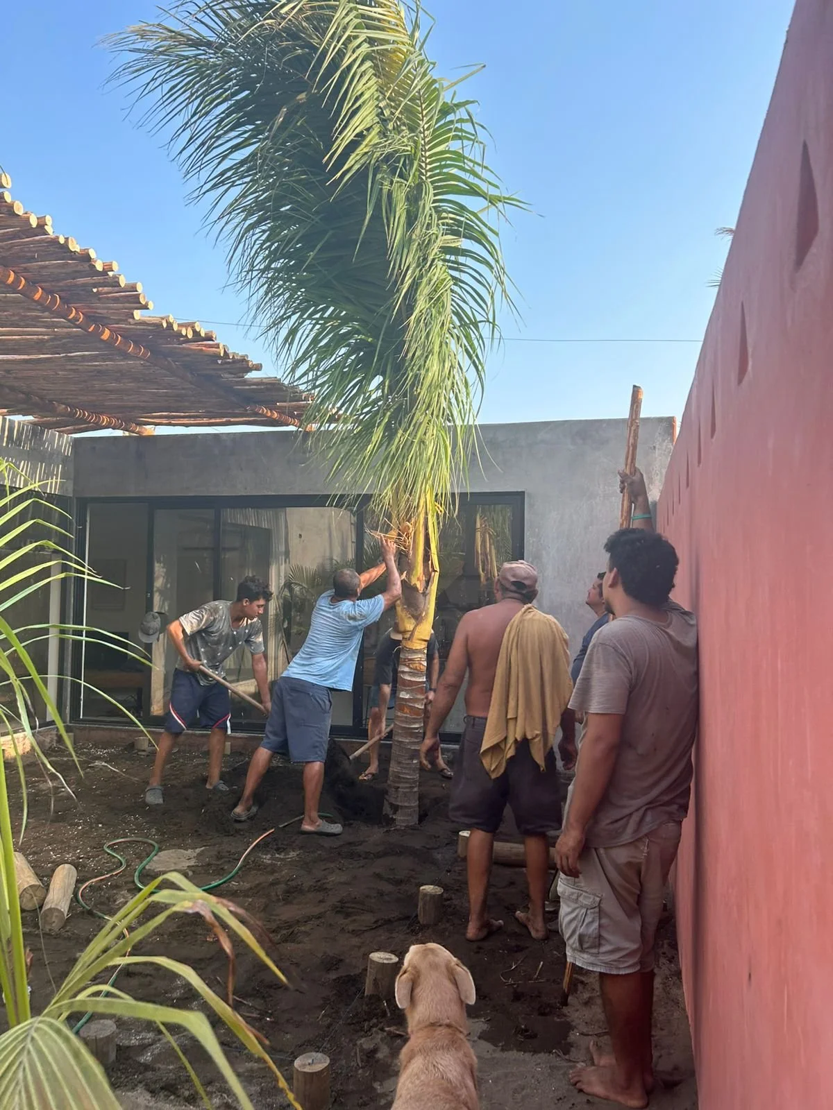 Replanting Casita Escondida