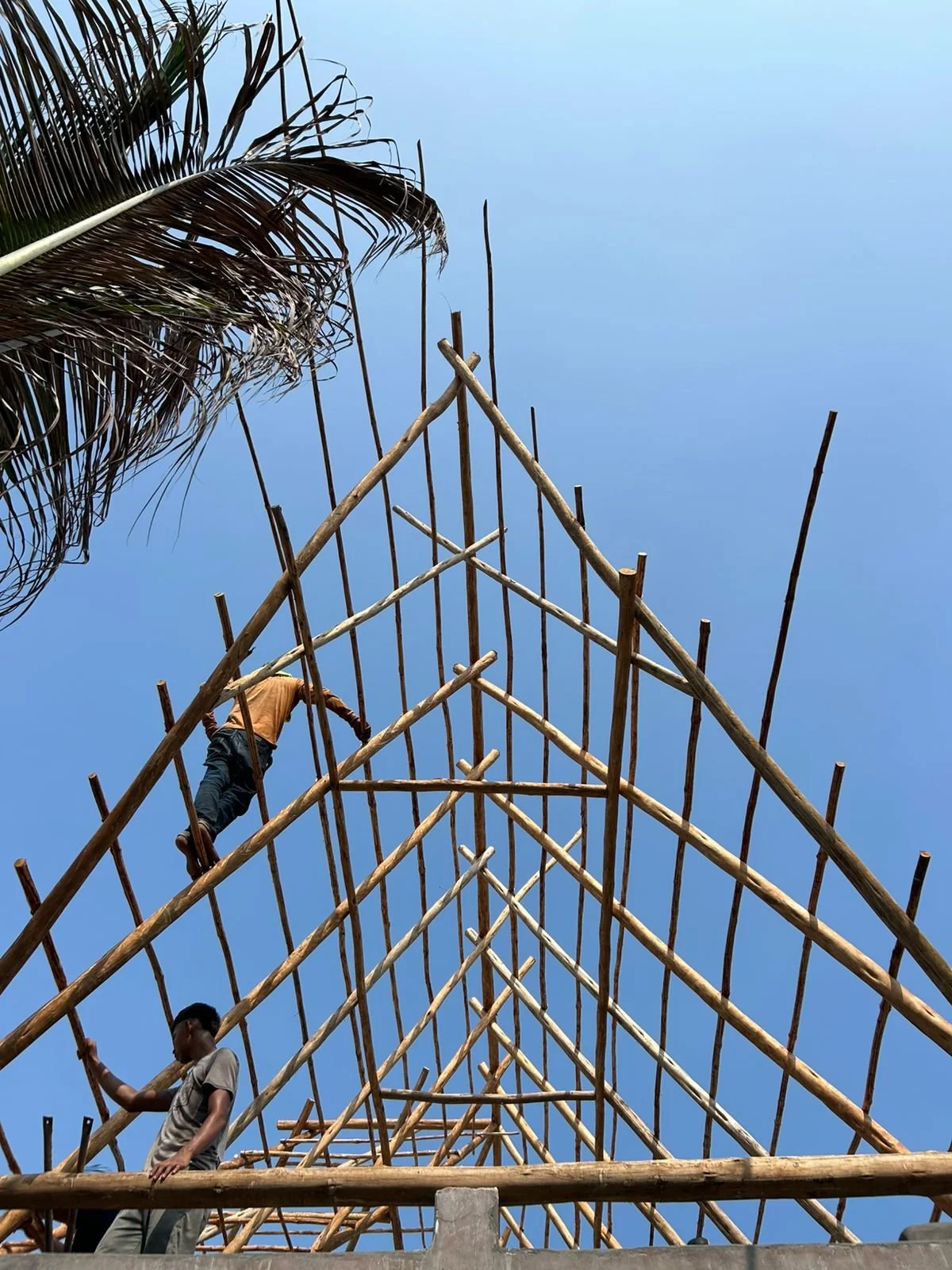 Palm Construction