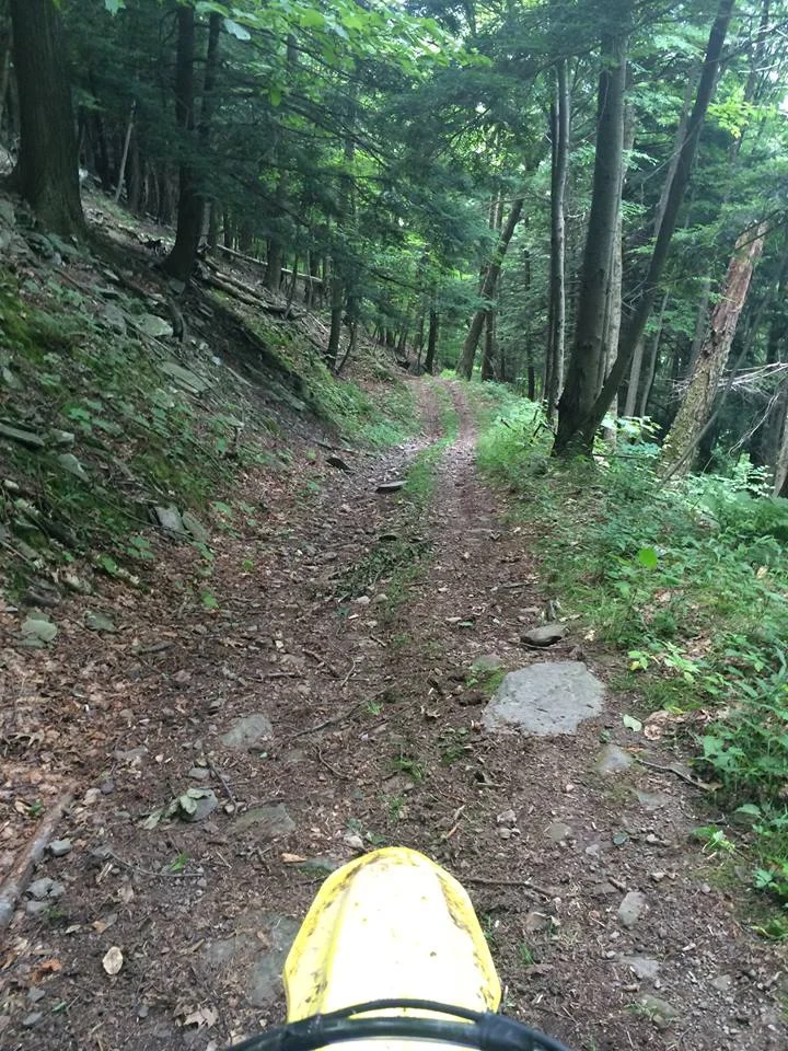 Facebook Trails 5.jpg