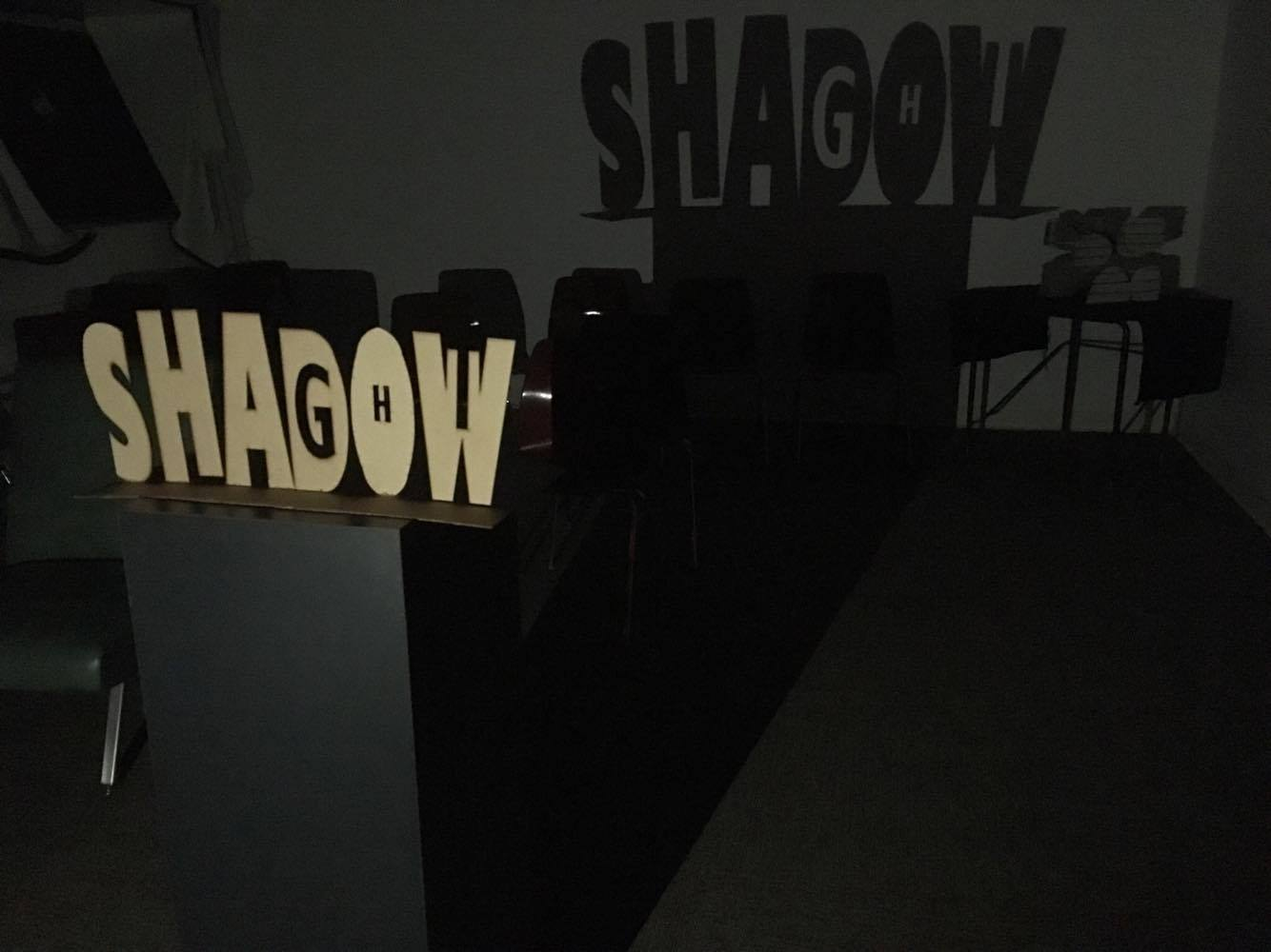 Light in the shadow.png