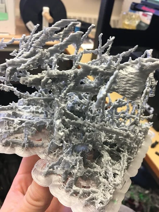 Dendrite_5.jpg