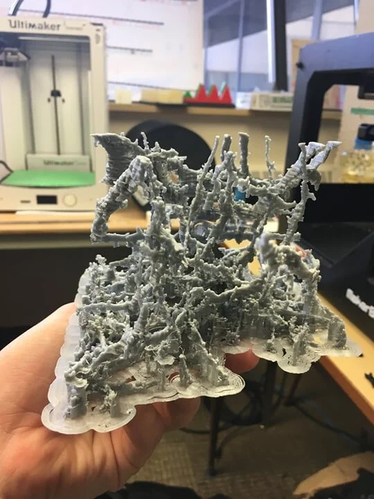 Dendrite_3.jpg