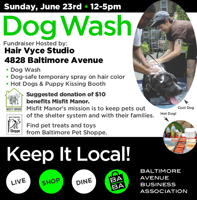 Misfit Manor Dog Wash Fundraiser
