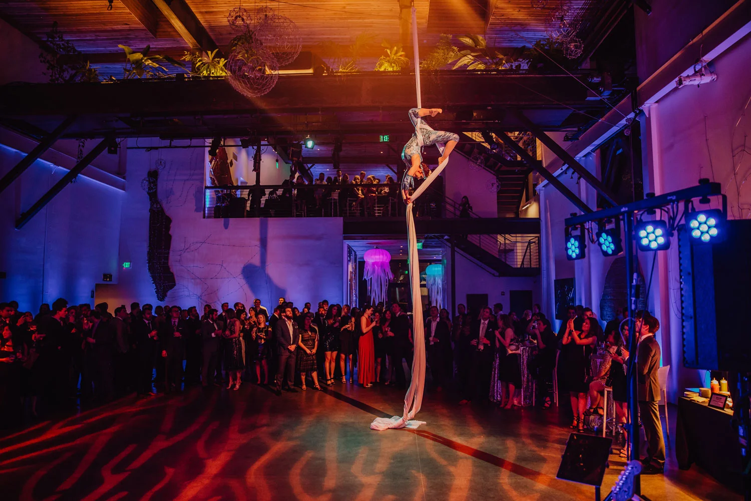 acrobatic performance at private party