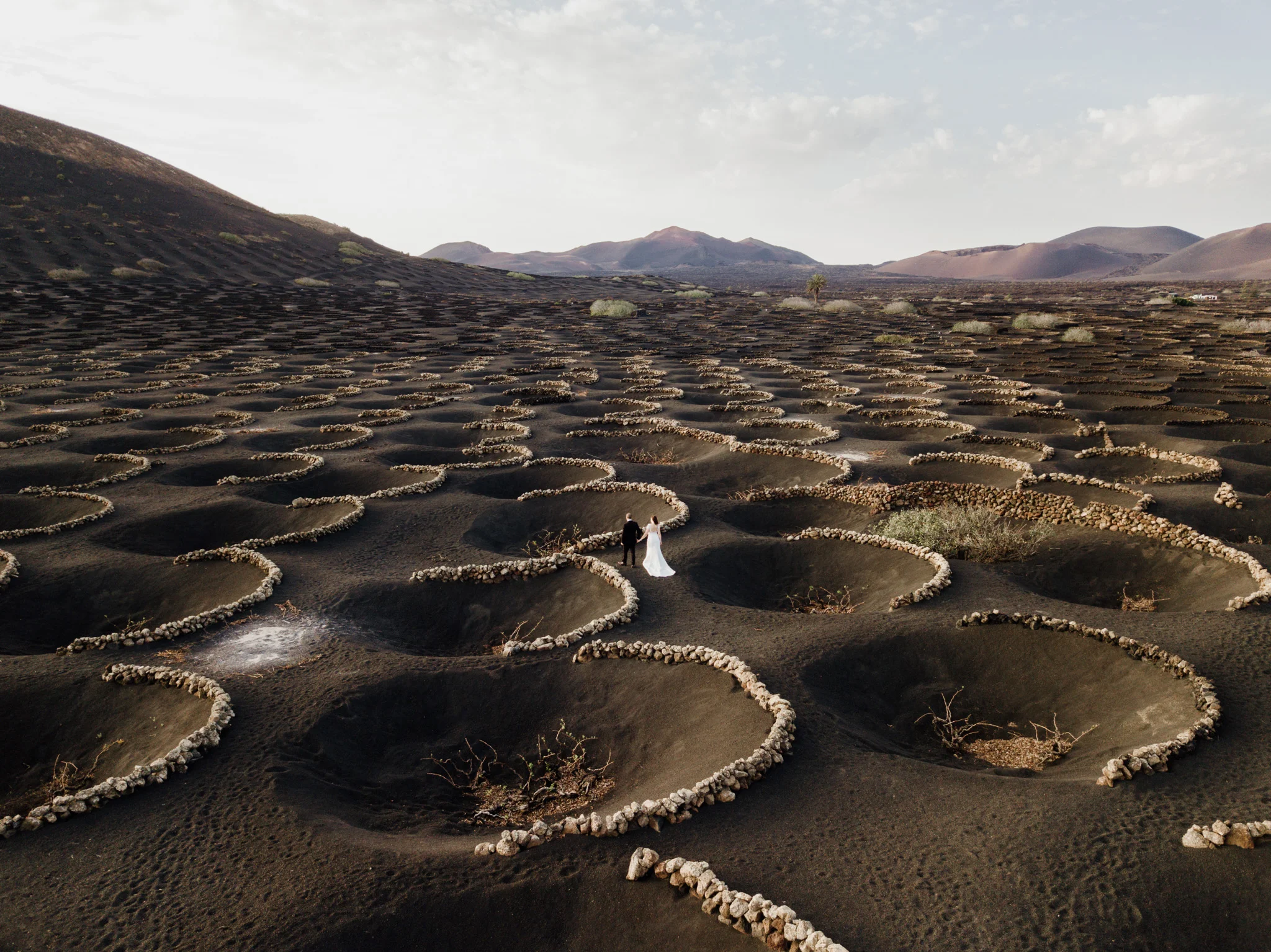 Image by Alejandro Diaz