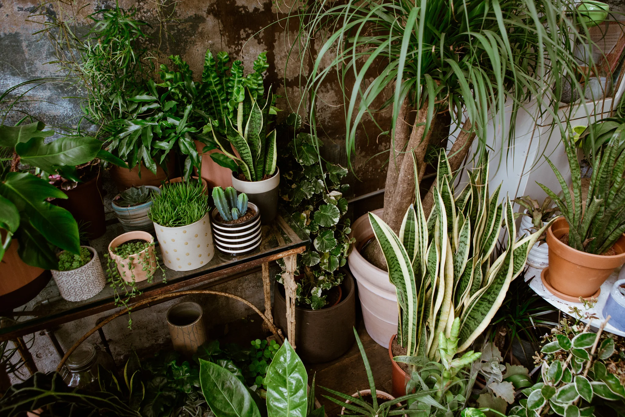 Image by Lydia Harper