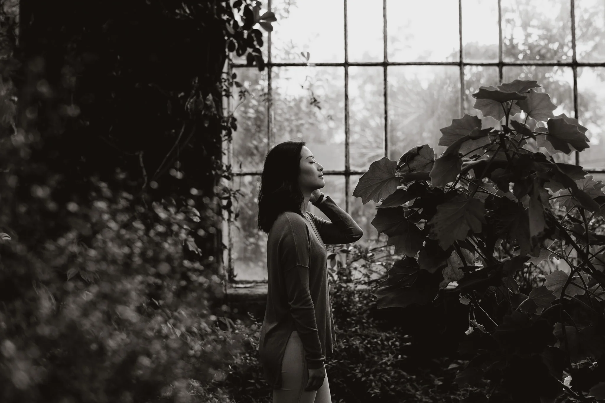 Image by Sara Rogers