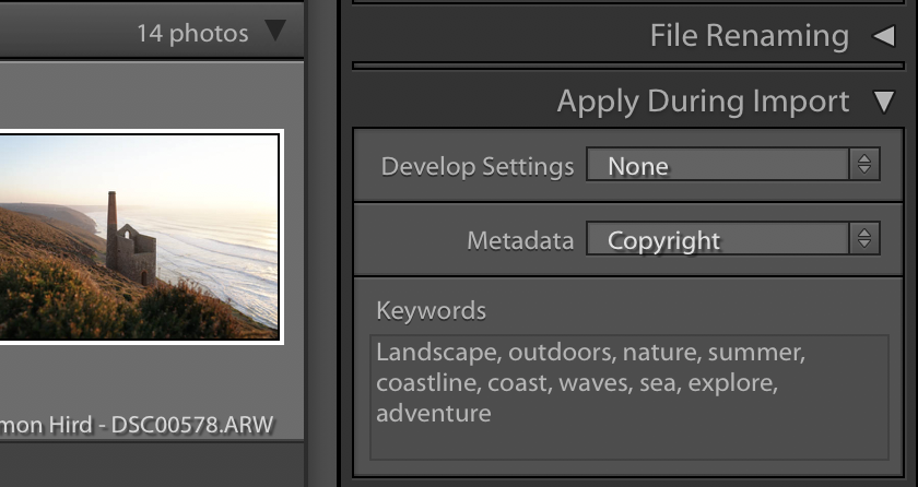lightroom-Metadata.png