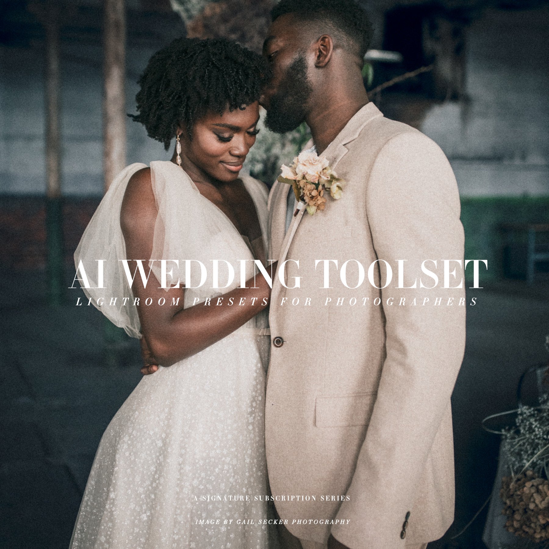 Quest AI Wedding Toolset gailseckerphotography.jpeg