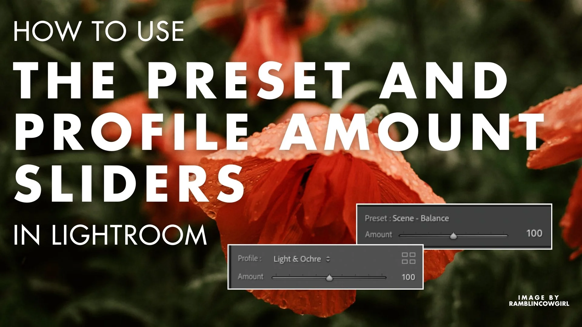 How to Use the Preset Amount and Profile Amount Sliders in Lightroom