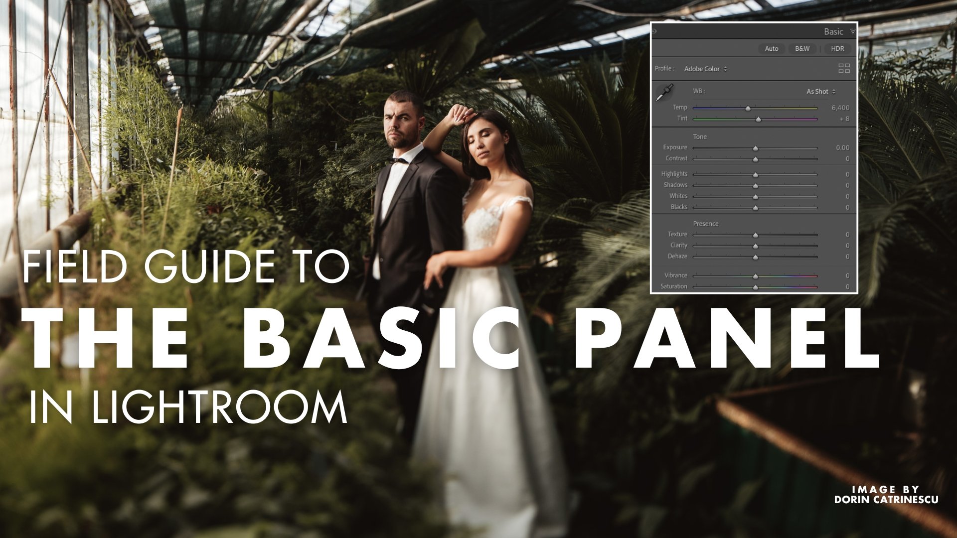 How to Use the Basic Panel in Lightroom: A Complete Field Guide for Photographers