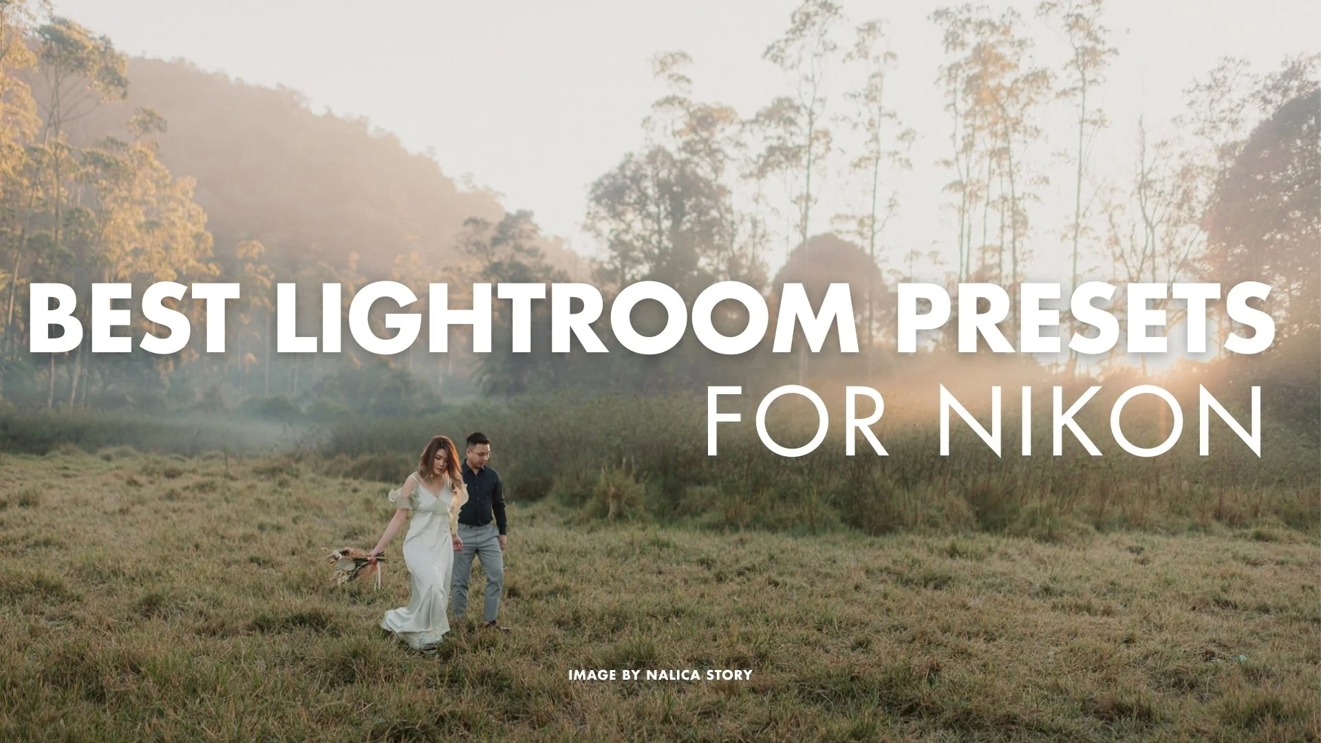 Best Lightroom Presets for Nikon Photographers in 2026