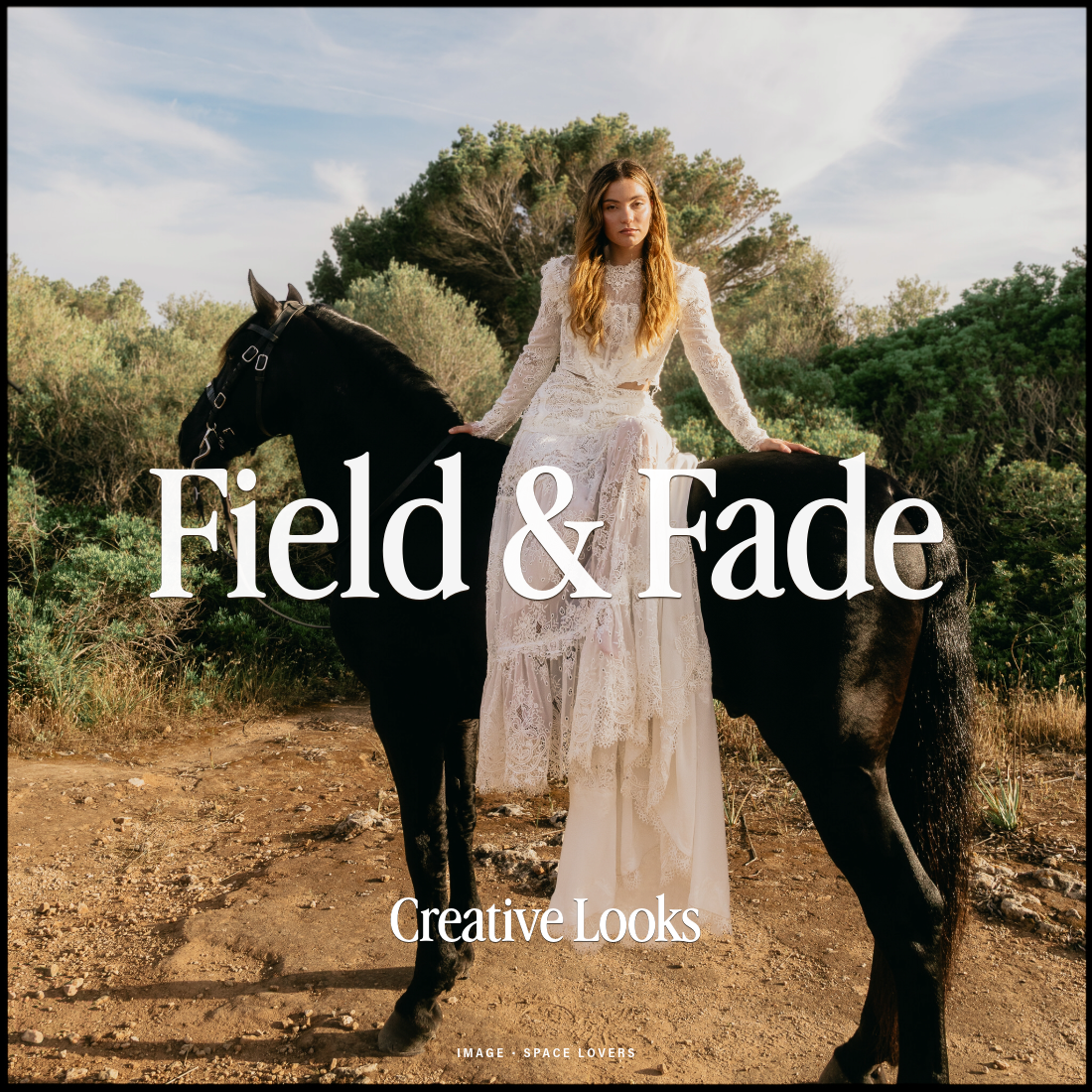 Field & Fade