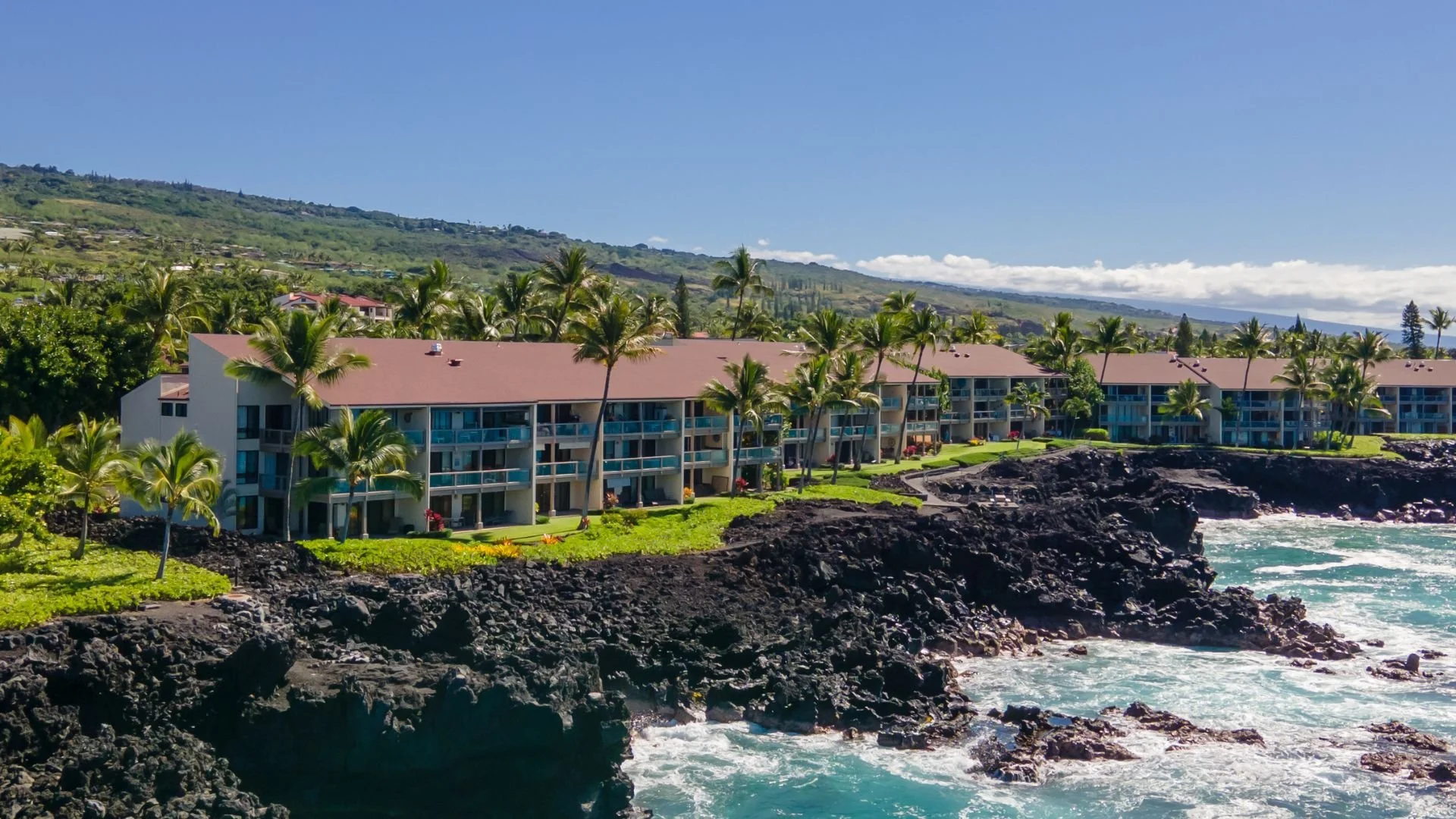 Hawaii Market Studies 