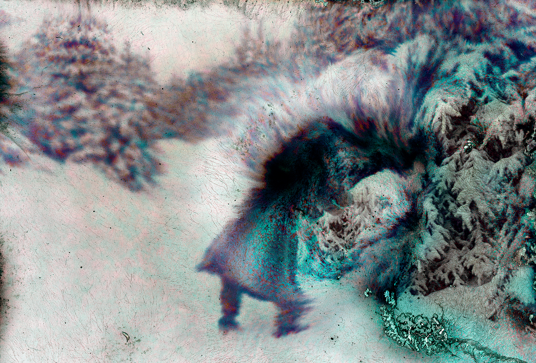 Untitled-(Intothewild)_web.jpg