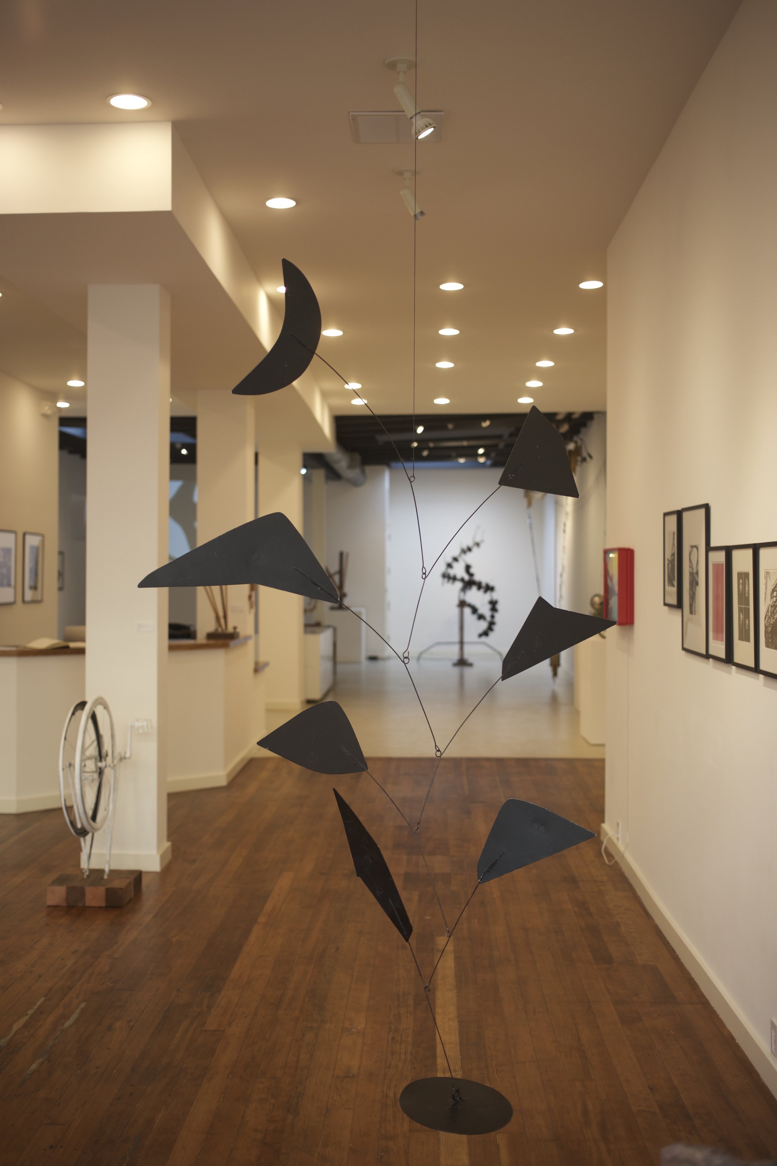 Art in Motion - Installation View
