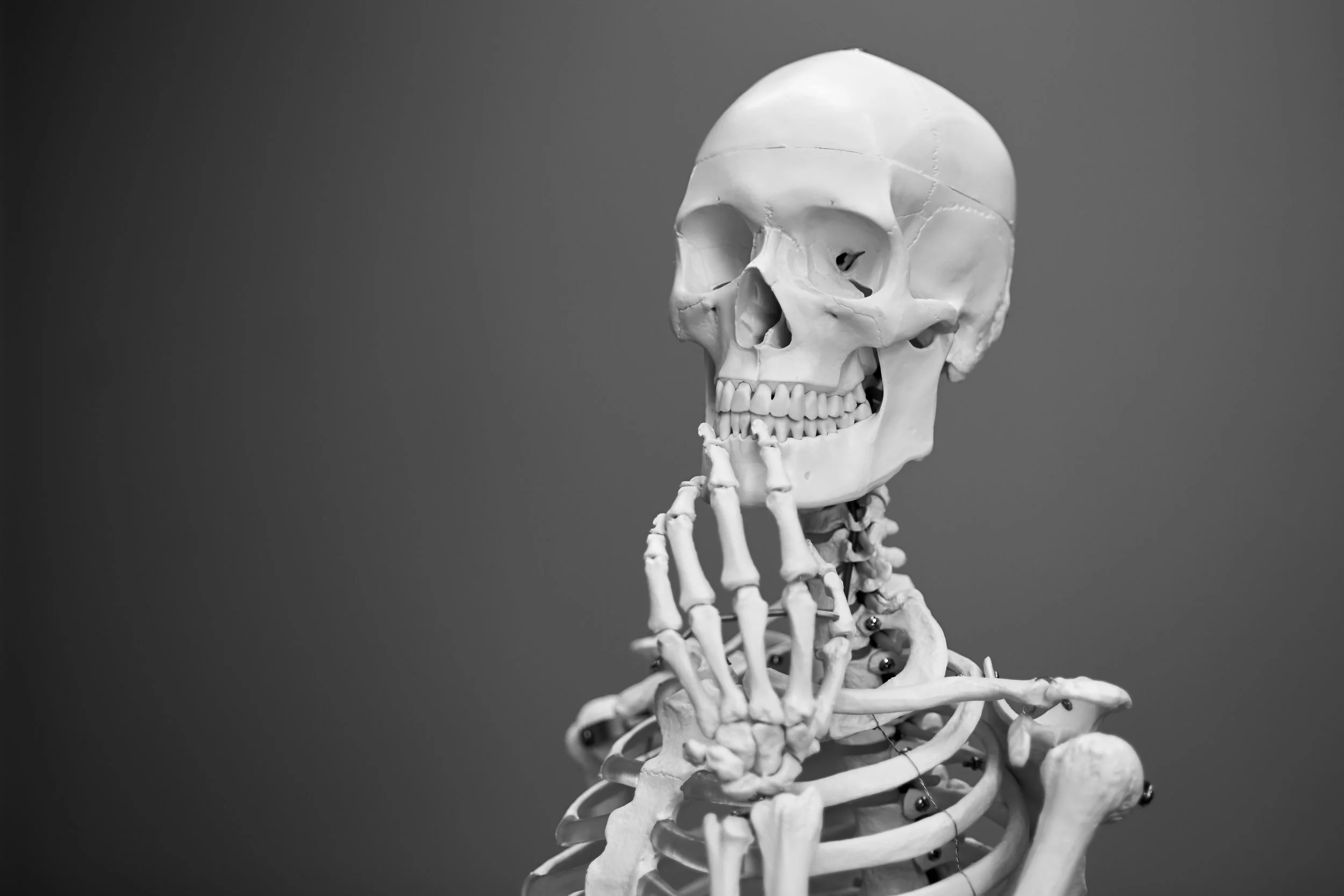 Me, thinking about the last year of school. (kidding!) Photo by Mathew Schwartz on Unsplash