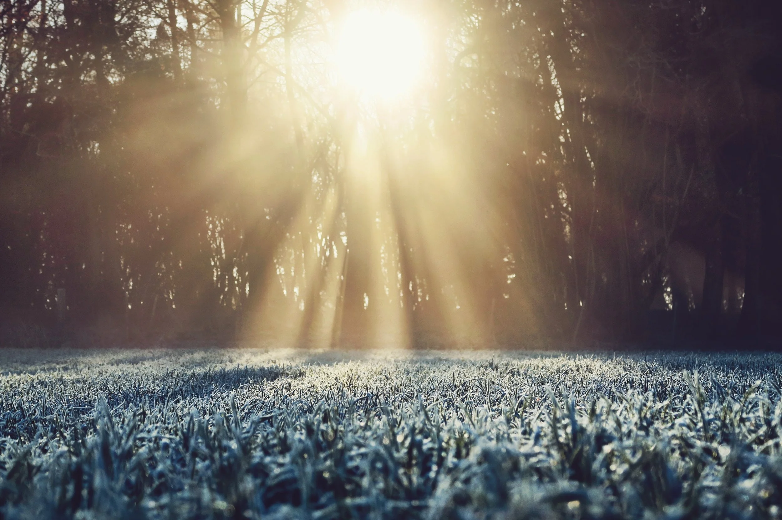 Photo by George Hiles on Unsplash