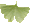 ginkgo_icon.gif