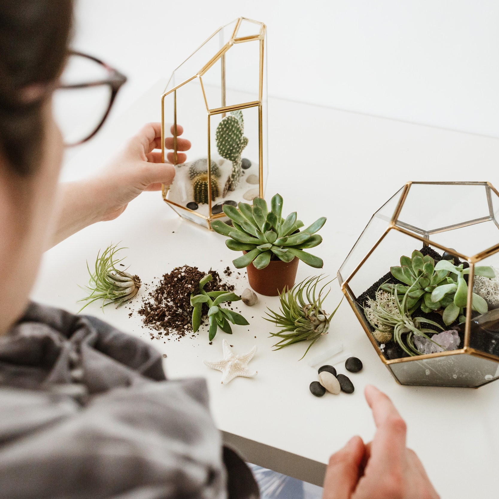 Terrarium_01.jpg
