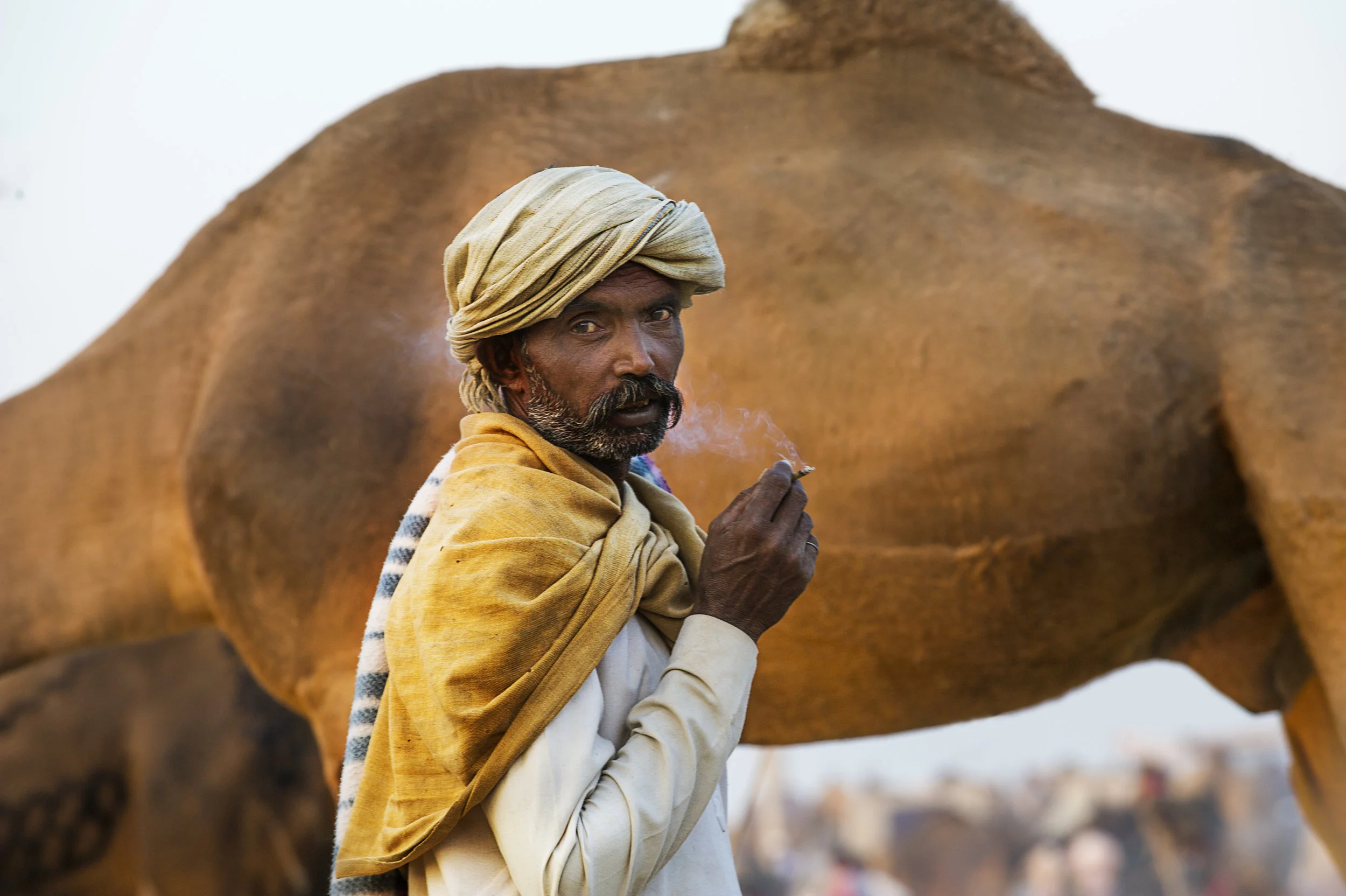 Beguiling India06.JPG