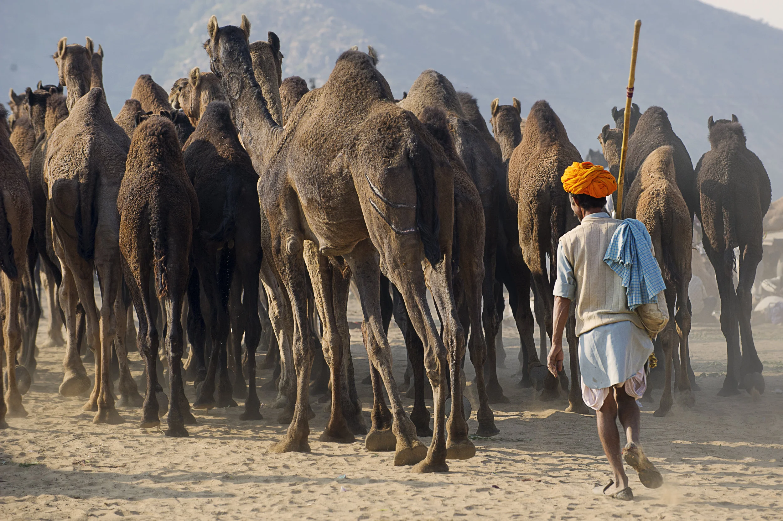 Beguiling India07.JPG