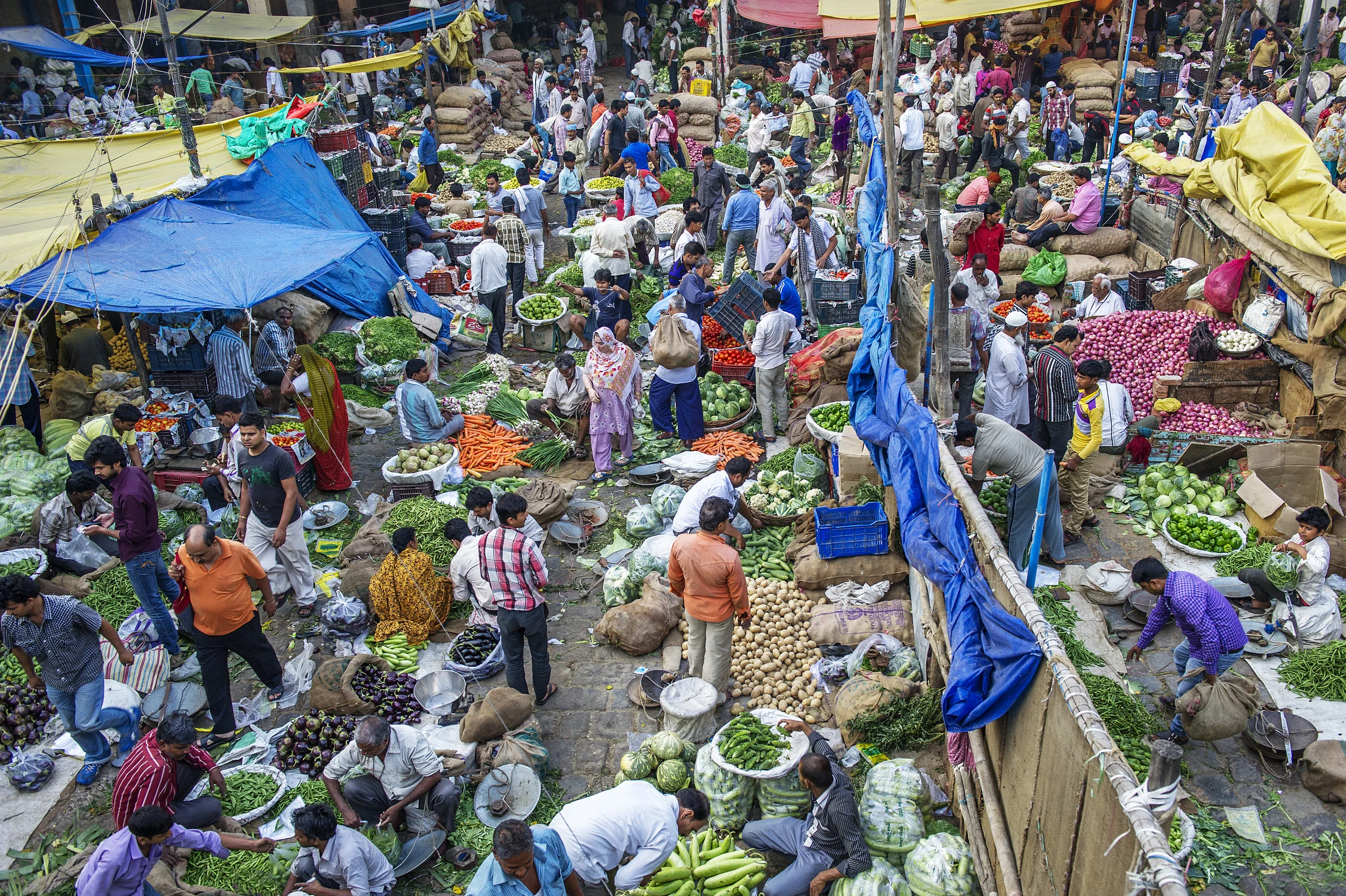 Beguiling India10.JPG