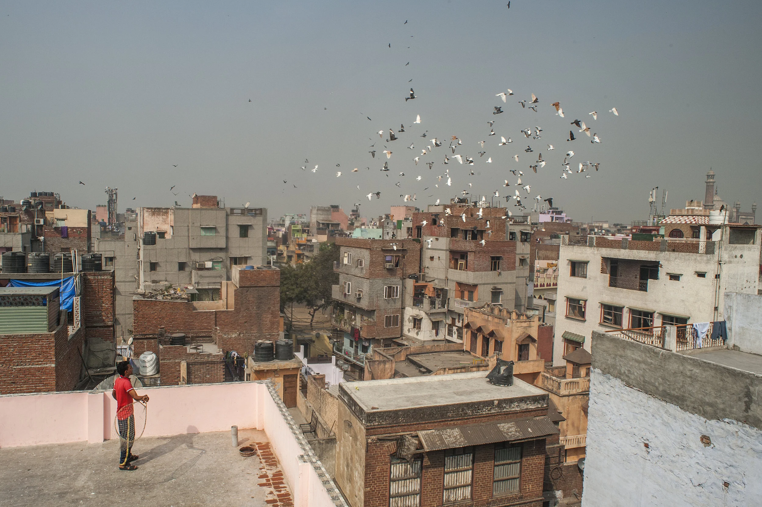 Beguiling India24.JPG