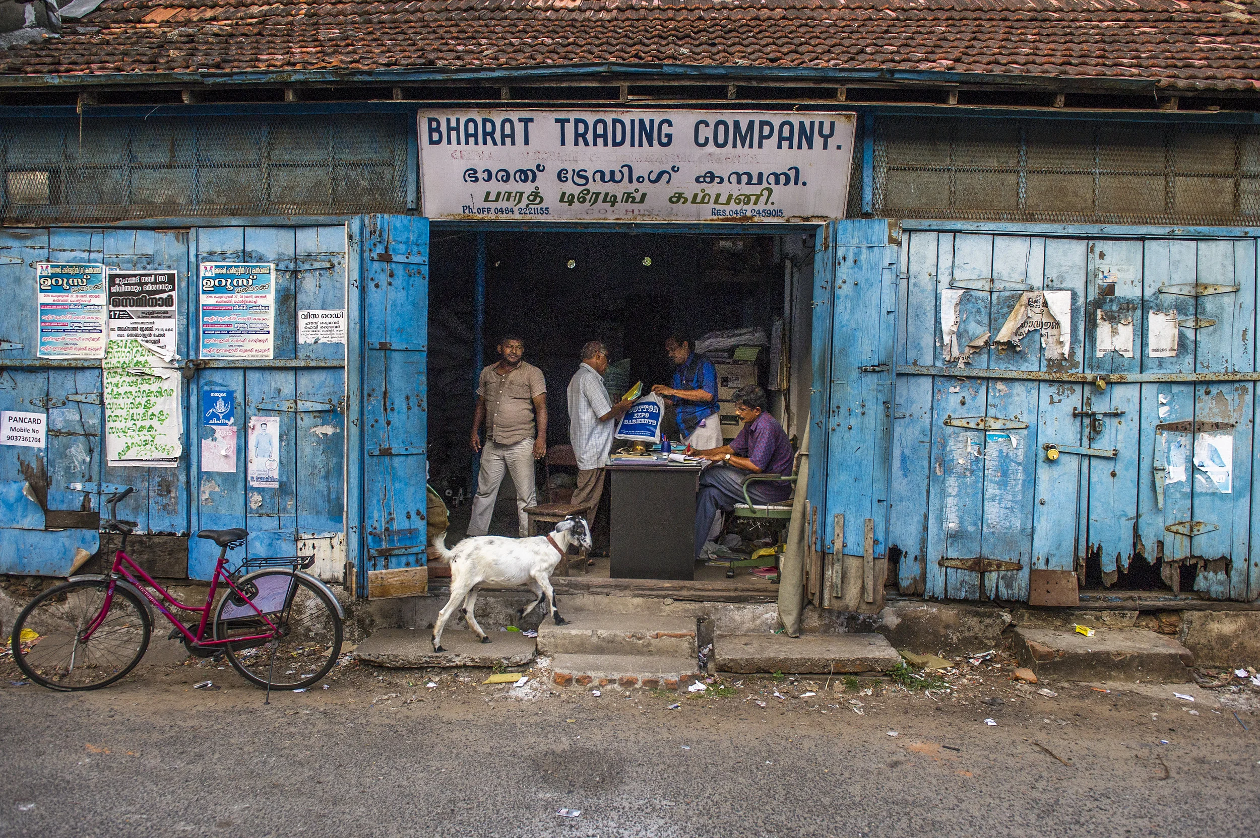 Beguiling India28.JPG