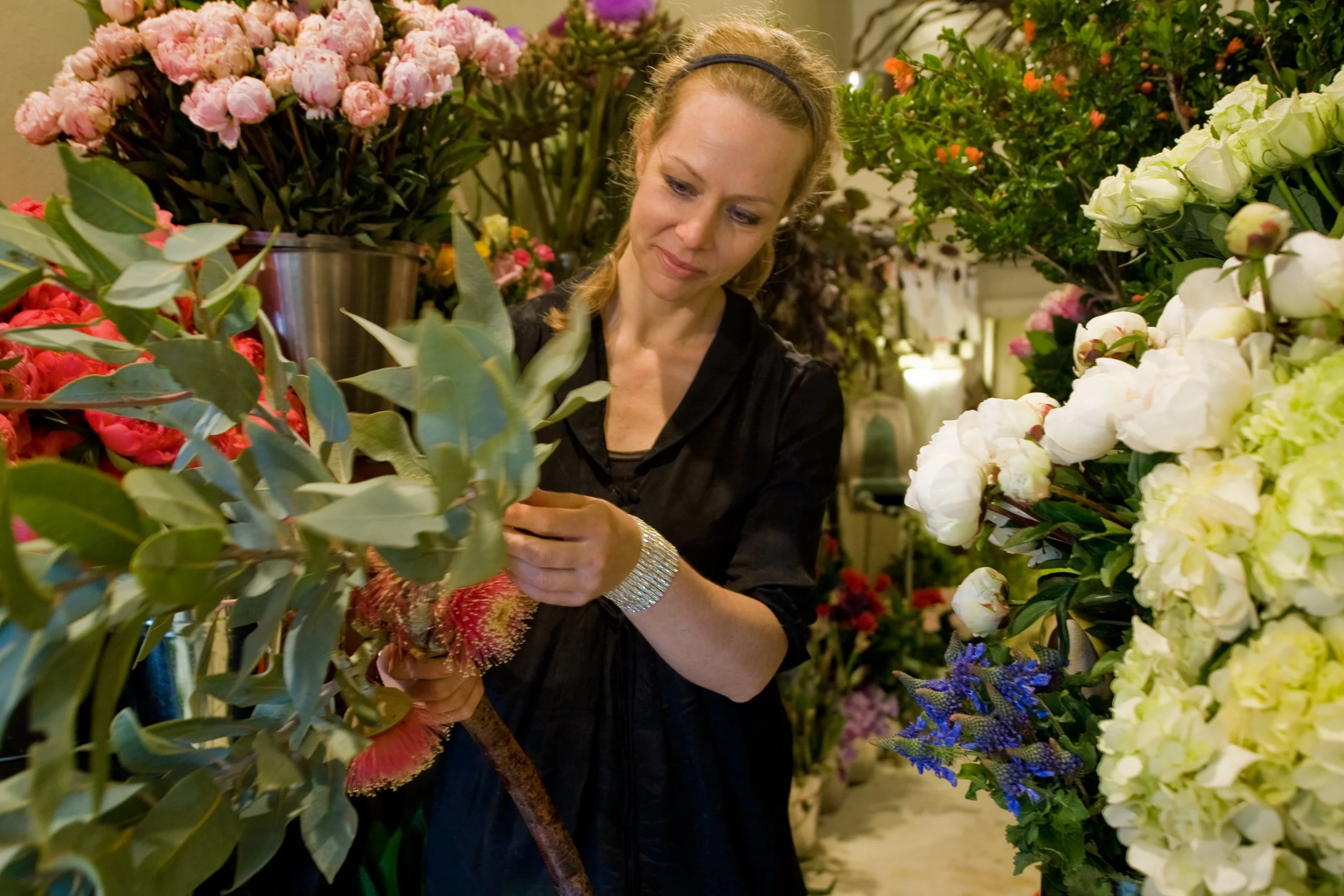 GRANDIFLORA