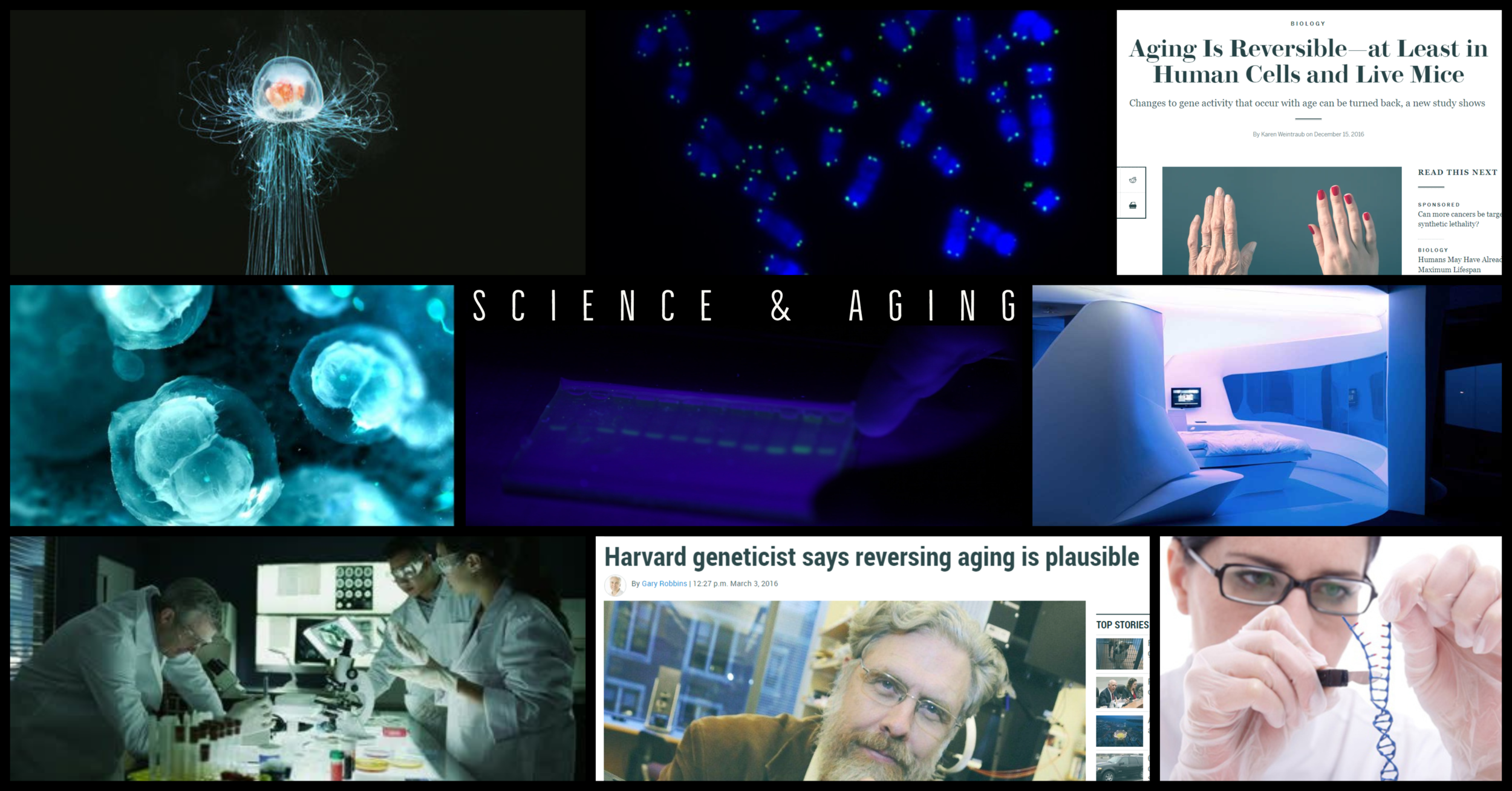 Science&Aging.png