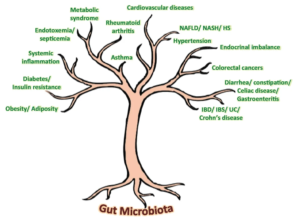 gut-microbiota-tree-image.jpg