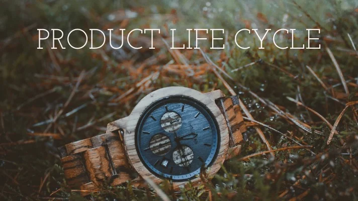Product Life Cycle Stages and Strategies