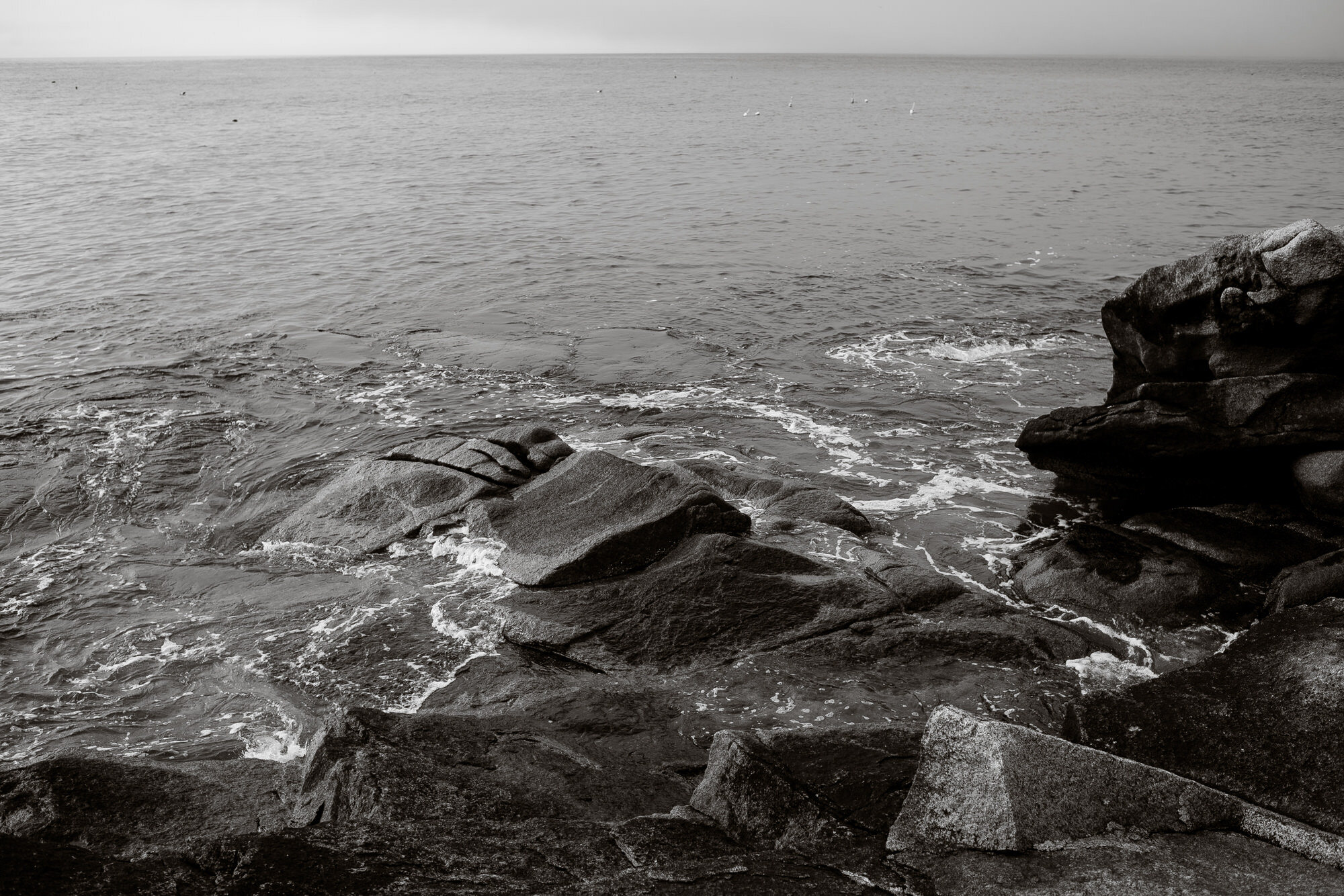 Halibut_Point_State_Park_Engagement_Photography_06.jpg