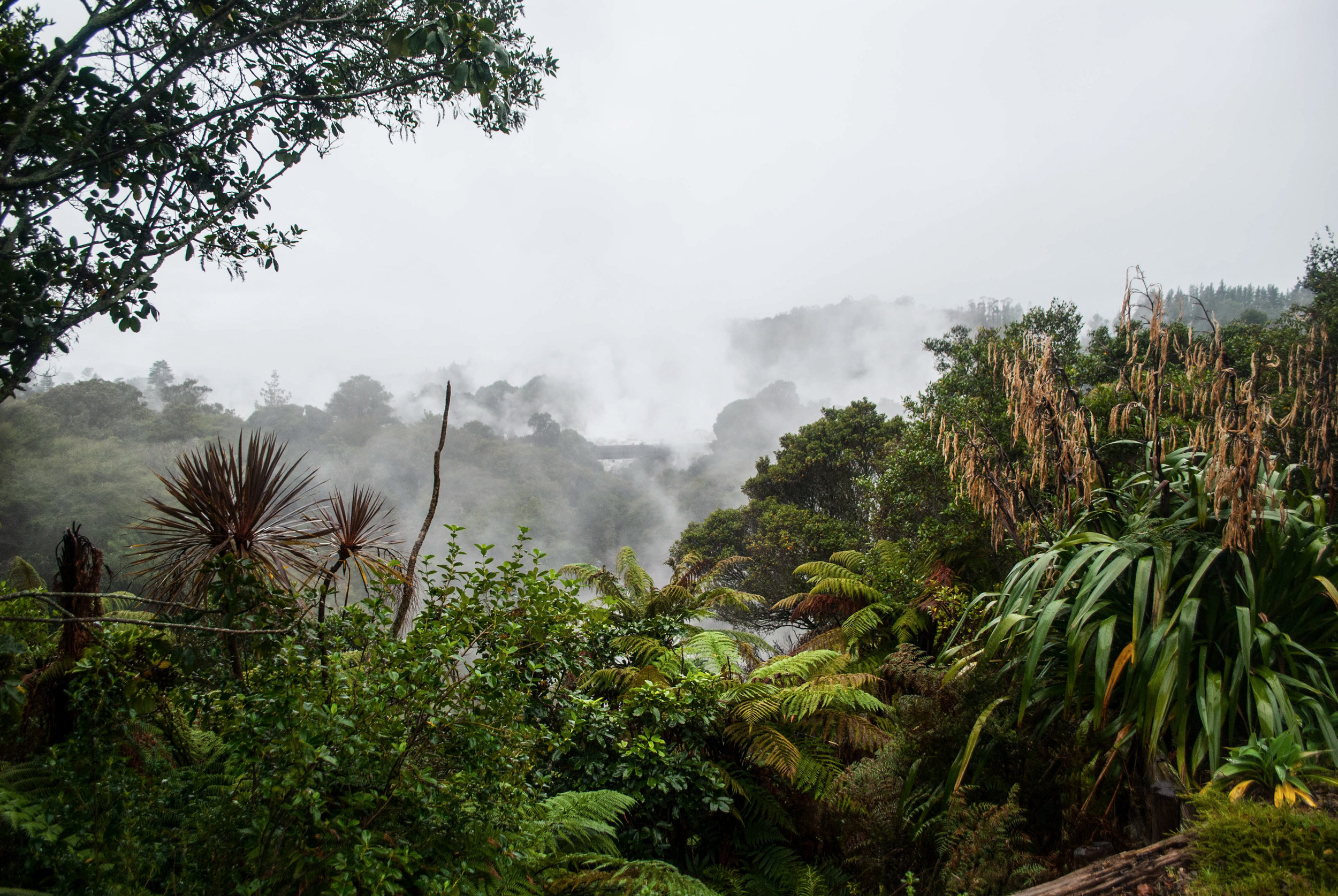 Geothermal activity in Te Puia. // Rotorua, New Zealand