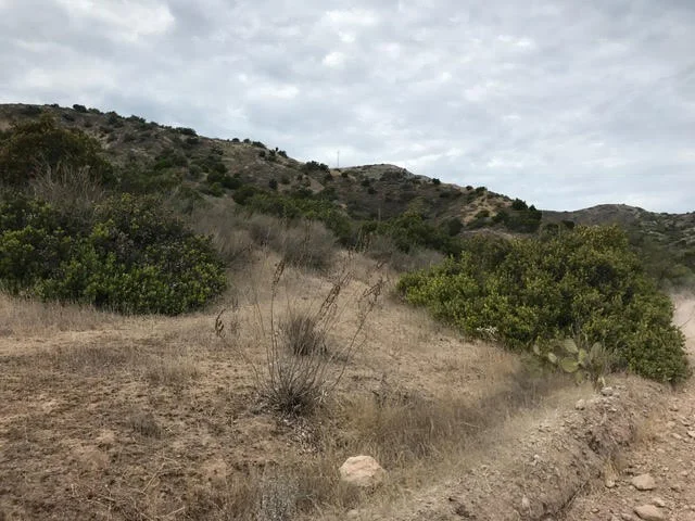 Catalina Hills Number 6.jpg